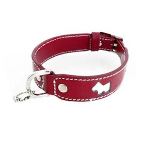  Dog Collars